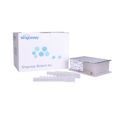 Nucleic Acid Viral DNA Purification Kit Magnetic Beads RNA Purification Kit Singuway