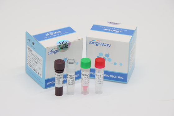 Mycobacterium Tuberculosis Virus RT PCR Diagnostic Kit Nasal Swab Within 30 Minutes