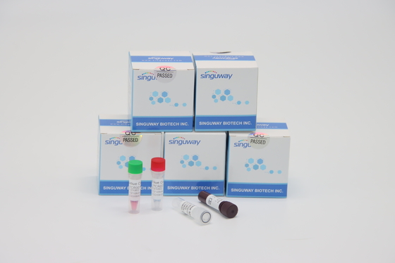 Ultrafast Thalassemia Virus RT PCR Testing Kit Lab Using TB PCR Kit