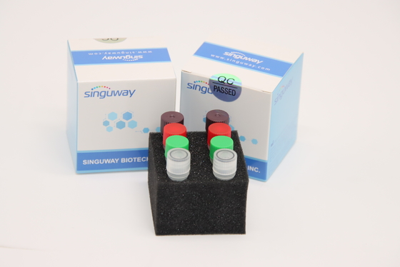 Fluorescent Real Time HCV RT PCR Kit HSV2 Test Kit Laboratory Use CE