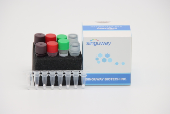 IVD Quantitative Rapid RT PCR Kit For Avian Influenza A Virus H7N9 Virus