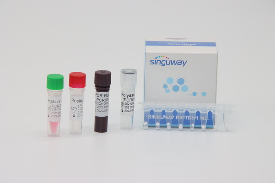 50 Copies/Ml Real Time PCR Diagnostic Kits For Leukemia BCR-ABL Fusion Gene Typing