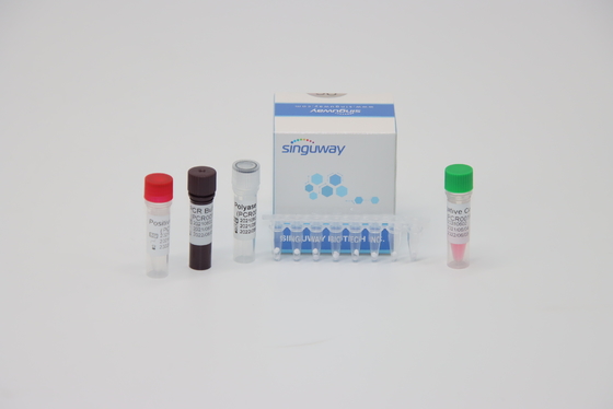 HPV 16 18 Virus Nucleic Acid Testing RT PCR Test Kit ISO13485