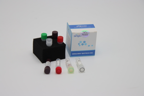 Avian Influenza Virus RT PCR Testing Kit 48 96 Tests Nasal Swab Test Kit
