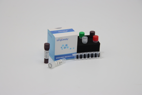 Molecular Diagnosis Quantitative PCR Detection Kit Reagent ISO13485 Within 30 Mins
