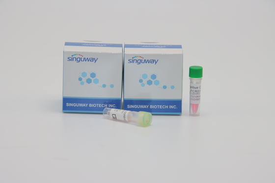 Singuway HSV II Virus PCR Detection Kit Quantitative Fluorescent For Genetic Testing