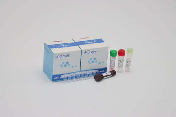 Respiratory Syncytial Viral RT PCR Diagnostic Kit RSV PCR Detection Kit Nasal Swab