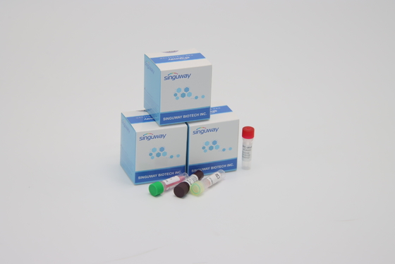 CE Coronavirus Test Real Time PCR Diagnostic Kits Ultrafast Within 30 Minutes
