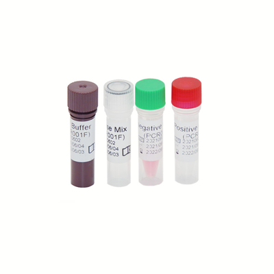 HBV HCV HIV-1 Genome RT PCR Test Kit High Sensitivity 30 IU/ML