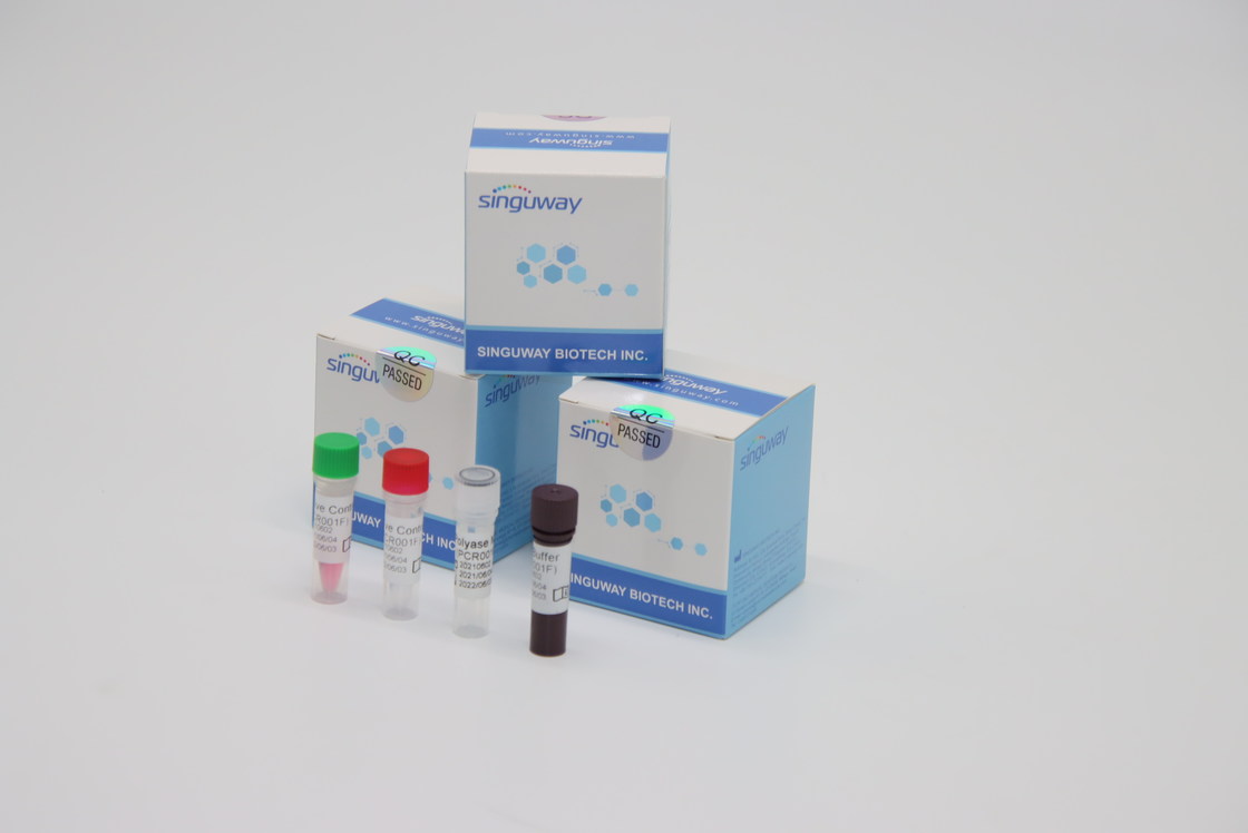 Lab Reagent RT PCR Test Kit High Stability For Varicella Zoster Virus