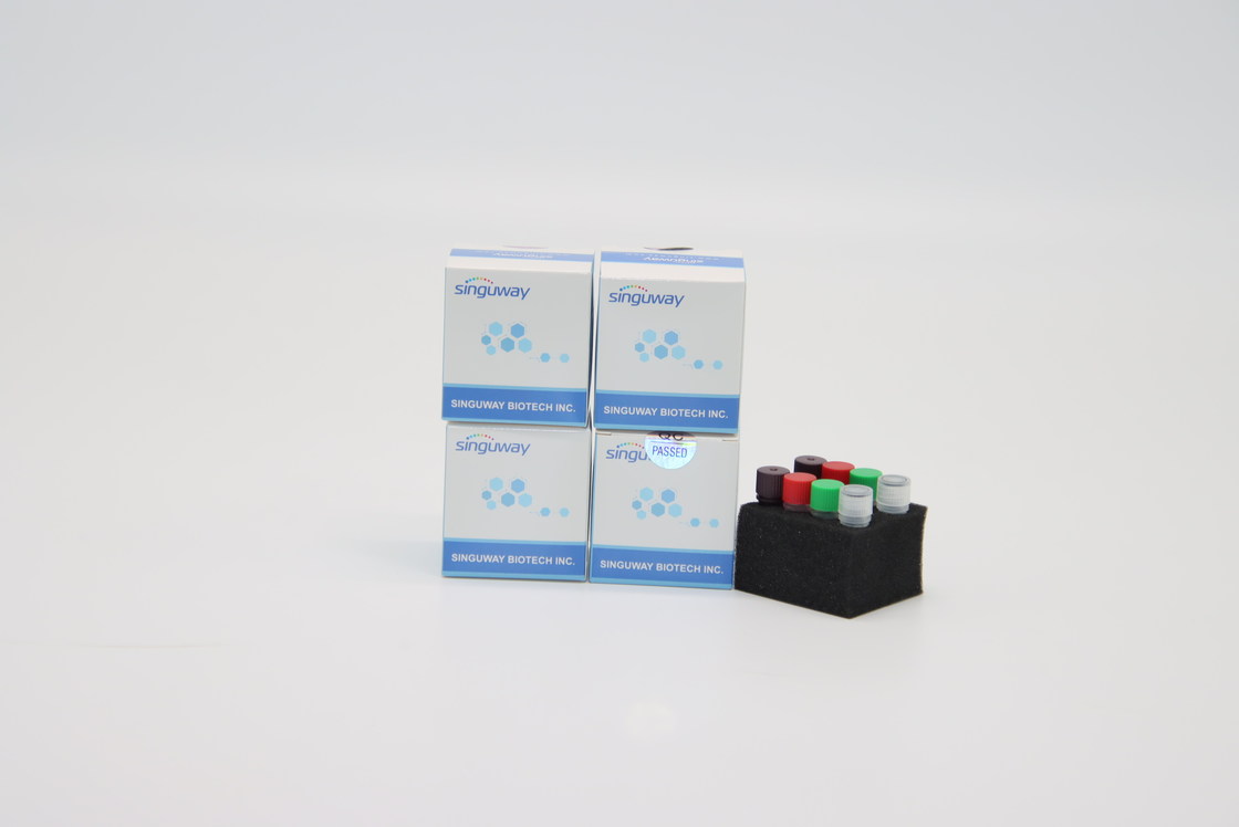 Instant HIV PCR Test Kit POCT IVD Clinical Diagnosis Real Time PCR
