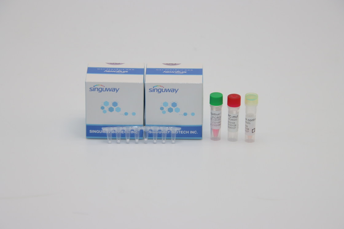 Flu A Flu B One Step Real Time PCR Kit Highly Sensitive 96 Tests HIV