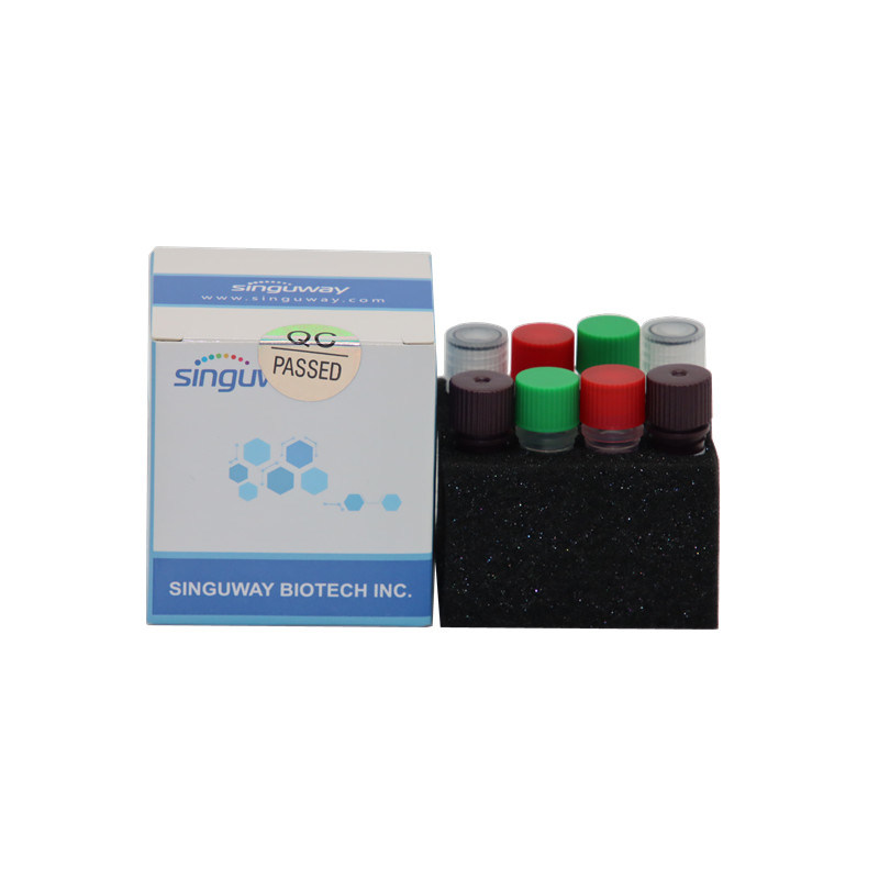 500 Copies/ML Sensitivity HPV Rapid Test Kit Qualitative 15 Types HPV