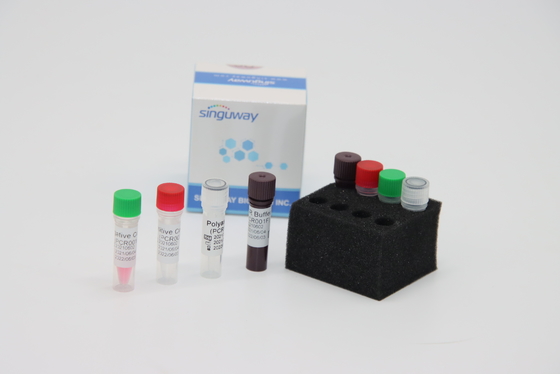 Oral Swab Highly Accurate RT PCR Collection Kit IVD Lab Reagent For ADV Virus Testing