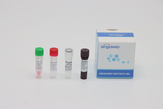 CMV Virus RT PCR Test Kit Real Time Nucleic Acid Testing ISO13485