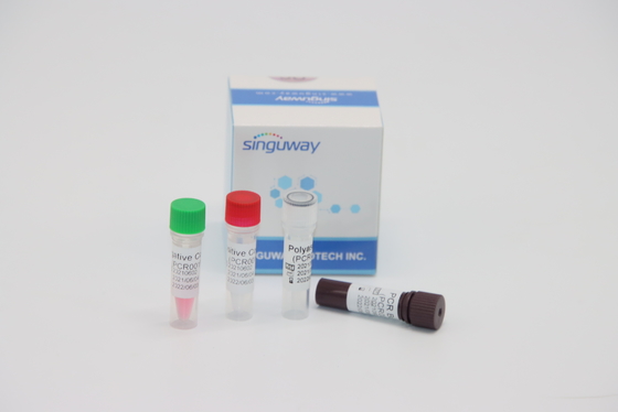 Quantitative Molecular Diagnosis RT PCR Test Kit Real Time For HPV Tox Virus