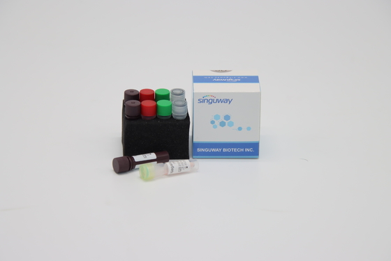 CE One Step Real Time PCR Kit HSV Rapid Test Kit For Hepatitis B Virus