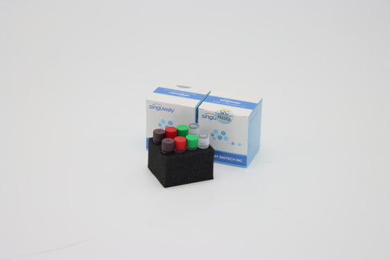 Genetic Testing Rabies Virus DNA PCR Detection Kit With ISO9001 ISO13485