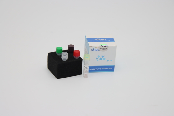 HBV HCV Real Time PCR Detection Kit PCR Amplification Kit 20uL Reaction Volume