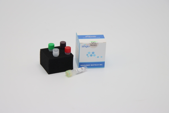 HIFi Polymerase DNA Reverse Transcription PCR Kit RT PCR Reagents Singuway