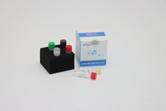 Ultrafast Rabies Virus DNA PCR Detection Kit Reagents Required For PCR