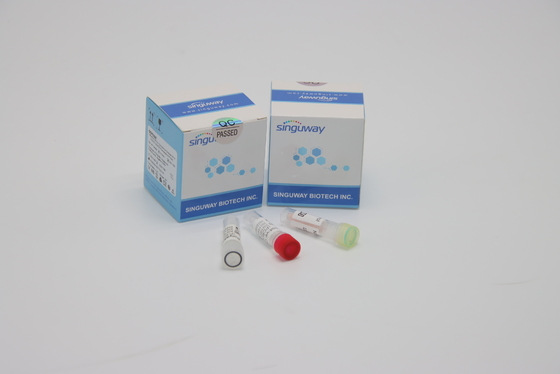 H3N2 Thalassemia PCR Detection Kit 48 96 Tests High Precision
