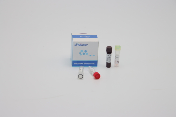 Oral Swab Sample Quantitative Multiplex PCR Reaction Reagents ISO13485