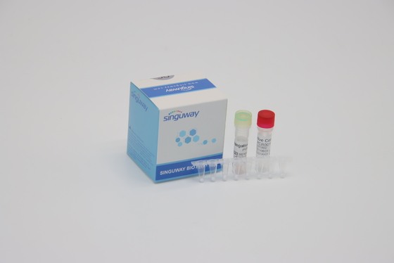 Clinical Diagnosis IVD Real Time PCR Reagents Fluorescence Probing One Step PCR Kit