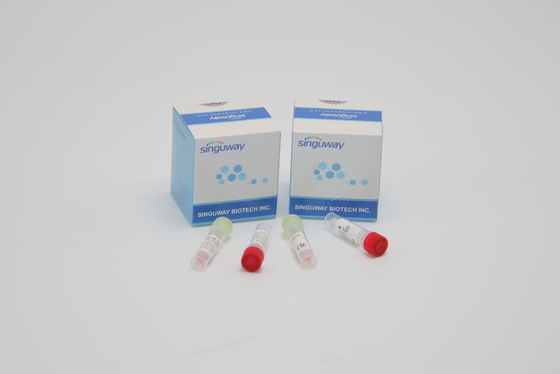 CE PCR Swab Test Kit Hepatitis B And C Test Kits Clinical Diagnosis