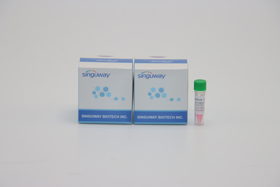 High Precision Rapid One Step RT PCR Kit Lab Reagent For Helicobacter Pylori HP