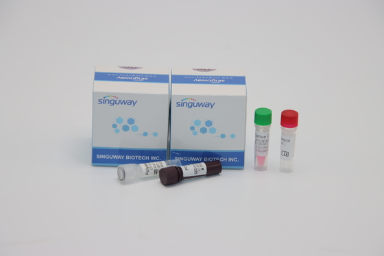 Fluorescence Probing PCR Detection Kit Nasal Swab Sample For ADV Adenovirus Testing