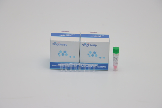 Lab POCT IVD Mycobacterium Tuberculosis TB PCR Detection Kit DNA Testing ISO9001