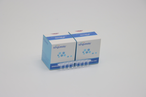 High Stability HCV Real Time PCR Kit HBV Hepatitis B Rapid Test Kit Lab Reagent ISO13485