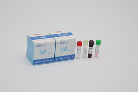 Alpha Beta Delta Gamma Mutations One Step QPCR Kit Oral Swab For Lab Using