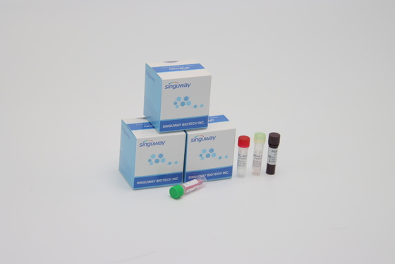 High Sensitivity PCR Detection Kit Alpha Beta Delta Gamma Mutations For Lab Using