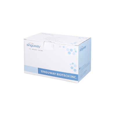 Magnetic Bead Total RNA Extraction Kit ISO9001 High Pure Viral Nucleic Acid Kit OEM