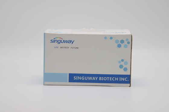 Sensitive Viral RNA Purification Kits Magnetic Bead High Pure Viral Nucleic Acid Kit