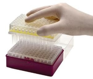 Lab Consumable PCR Pipette Tips Disposable Micropipette Tips 10-1250μL