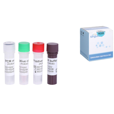 Hepatitis C Virus RNA HCV Rapid Test Kit Quantitative HCV RT PCR Kit
