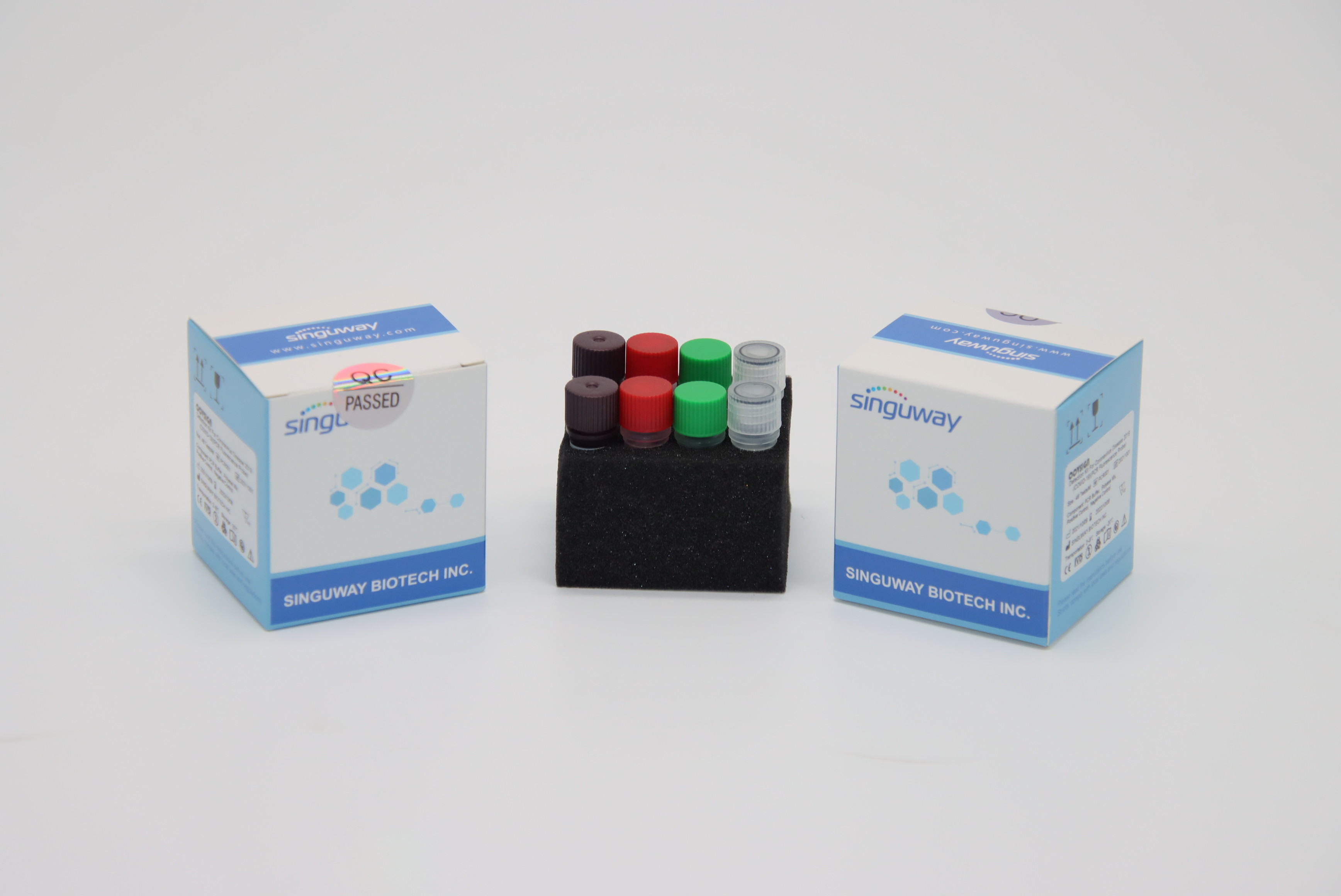 H1N1 Rabies Virus RT PCR Test Kit Collection IVD Super Sensitive For ...